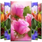 flower wallpaper android application logo